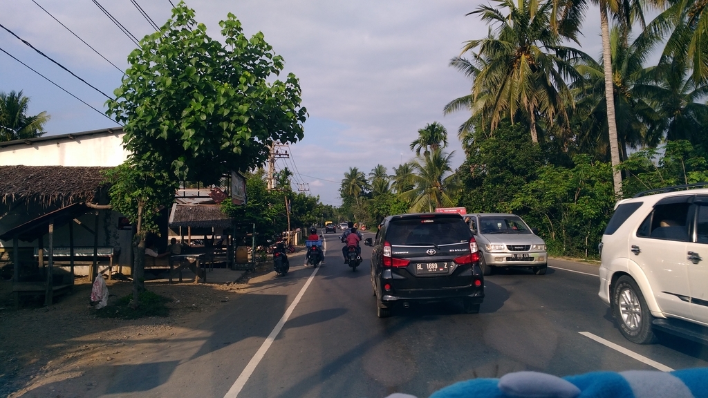 f:id:snowm-blog:20190128231005j:plain f:id:snowm-blog:20190128231005j:plain