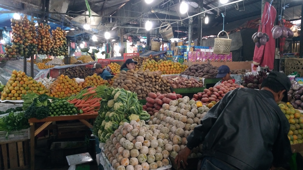 f:id:snowm-blog:20190212230556j:plain f:id:snowm-blog:20190212230556j:plain