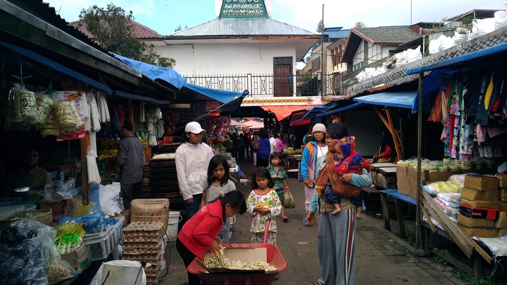 f:id:snowm-blog:20190212231247j:plain f:id:snowm-blog:20190212231247j:plain