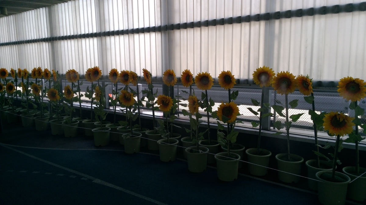 f:id:snowm-blog:20190920190508j:plain f:id:snowm-blog:20190920190508j:plain