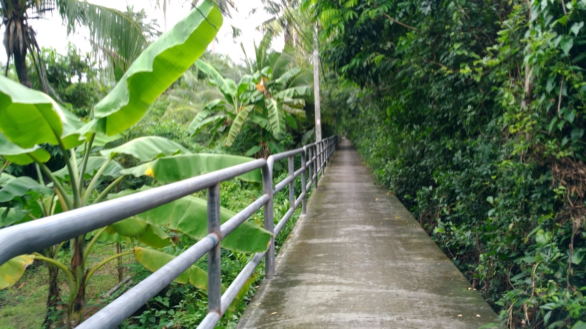 f:id:snowm-blog:20191108230424j:plain f:id:snowm-blog:20191108230424j:plain