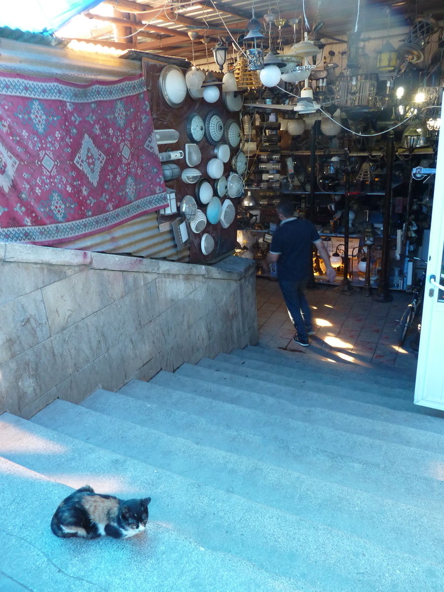 f:id:snowm-blog:20191218033248j:plain f:id:snowm-blog:20191218033248j:plain