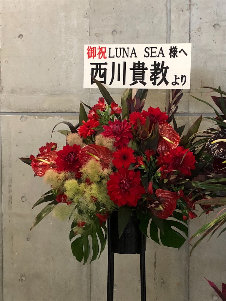 YOSHIKI/XJAPAN /赤薔薇ドレス/ ローズドレス/衣装/コピーバンド