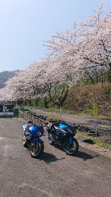 f:id:snowol:20190406192837j:plain f:id:snowol:20190406192837j:plain