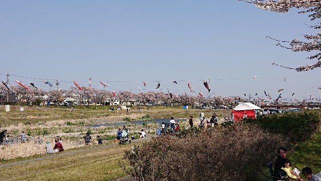 f:id:snowol:20190406193112j:plain f:id:snowol:20190406193112j:plain