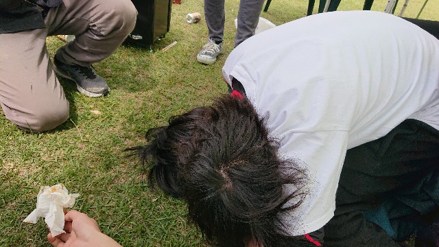 f:id:snowol:20190506122739j:plain f:id:snowol:20190506122739j:plain