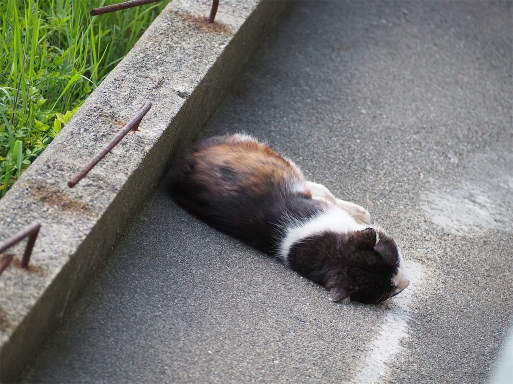 f:id:snowout:20200702165438j:plain