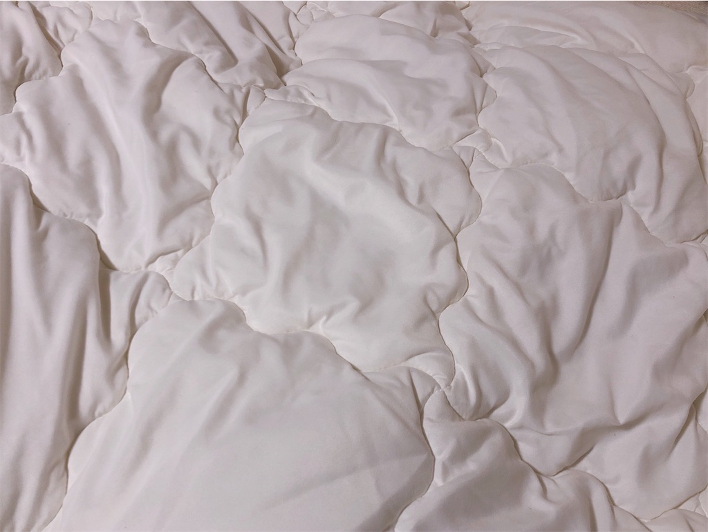 f:id:snowout:20201126174600j:plain