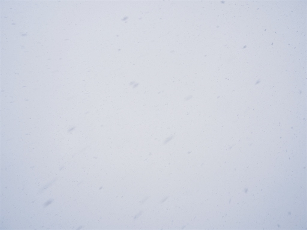 f:id:snowout:20210110205334j:image