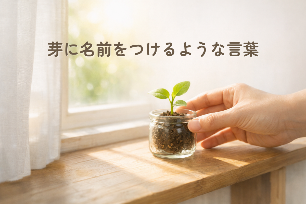 窓辺の木の棚の上で、ガラス瓶に入った小さな芽に手を添え、やわらかな朝の光が当たる位置へ向けているイラスト