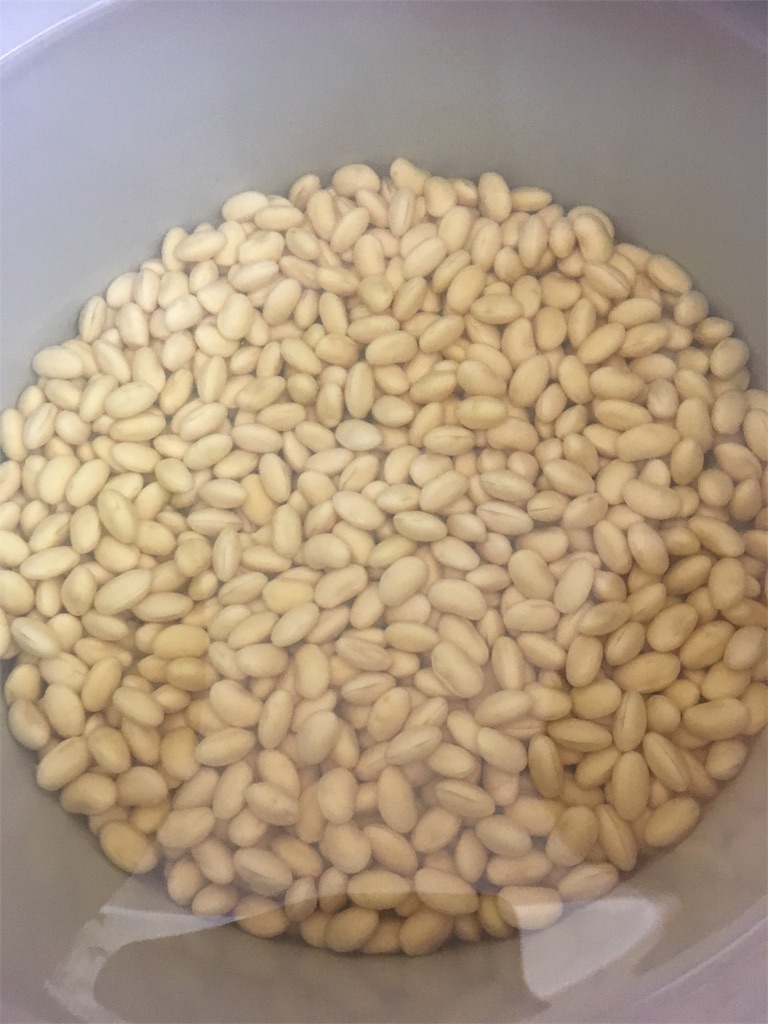 f:id:snowpeaker1:20190217190019j:image f:id:snowpeaker1:20190217190019j:image