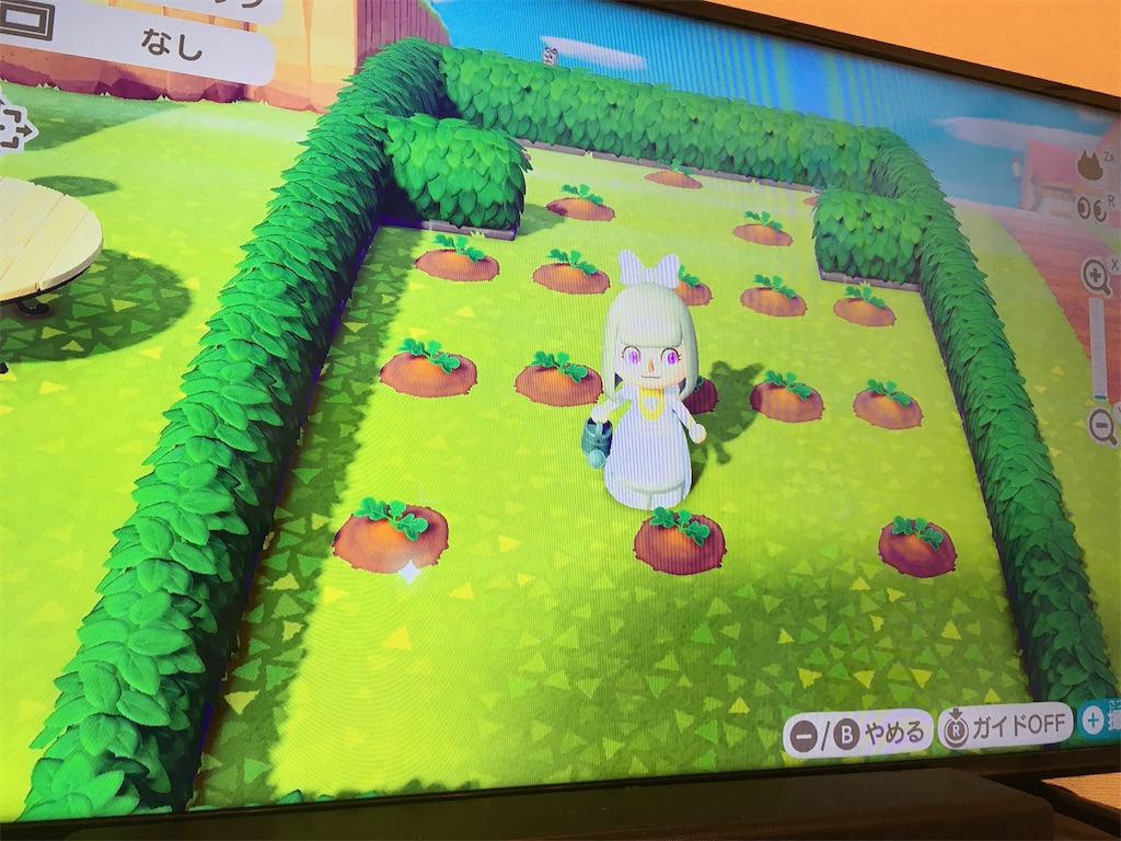 f:id:snowrabbit21:20201006110606j:image