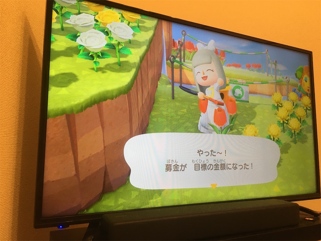 f:id:snowrabbit21:20201006110620j:image