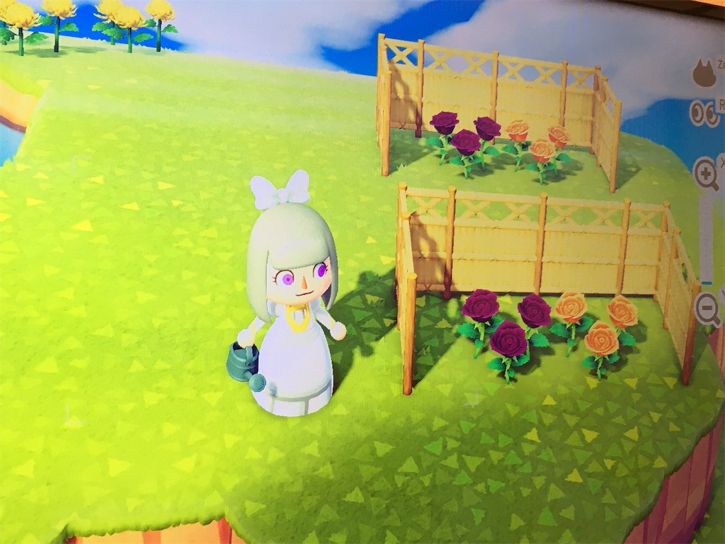 f:id:snowrabbit21:20201006110624j:image