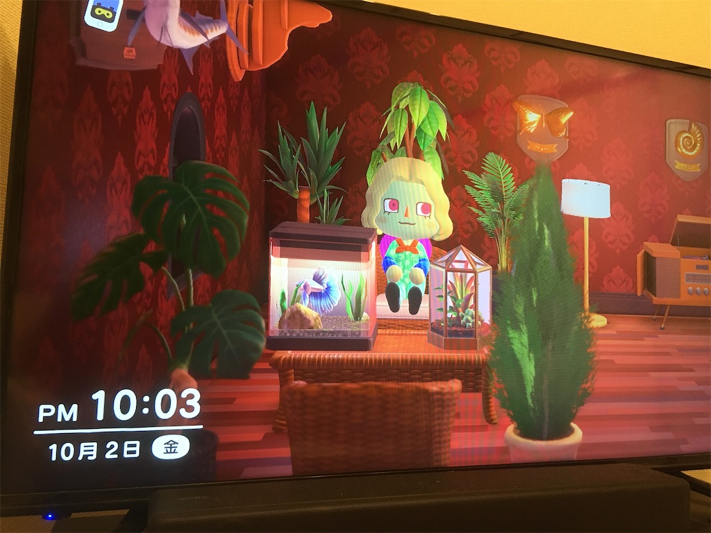 f:id:snowrabbit21:20201006110657j:image