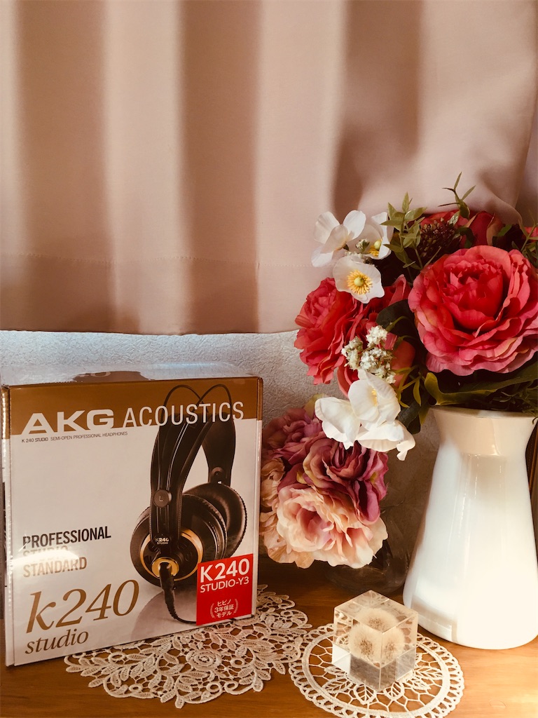 f:id:snowrabbit21:20201225095149j:image