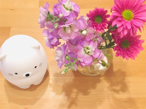f:id:snowrabbit21:20211130153721j:image