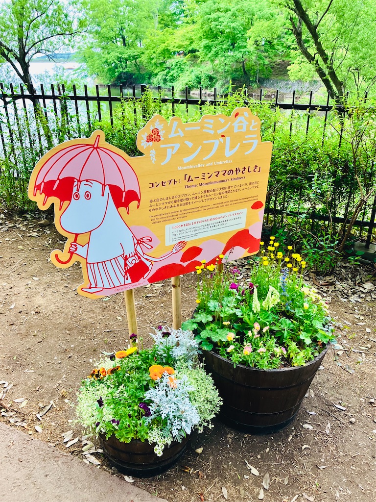 f:id:snowrabbit21:20240504125926j:image