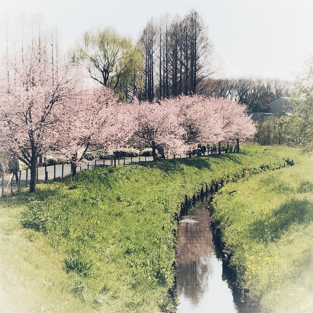 f:id:snowravine:20190408143324j:image