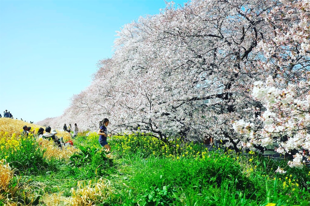 f:id:snowravine:20190408143540j:image