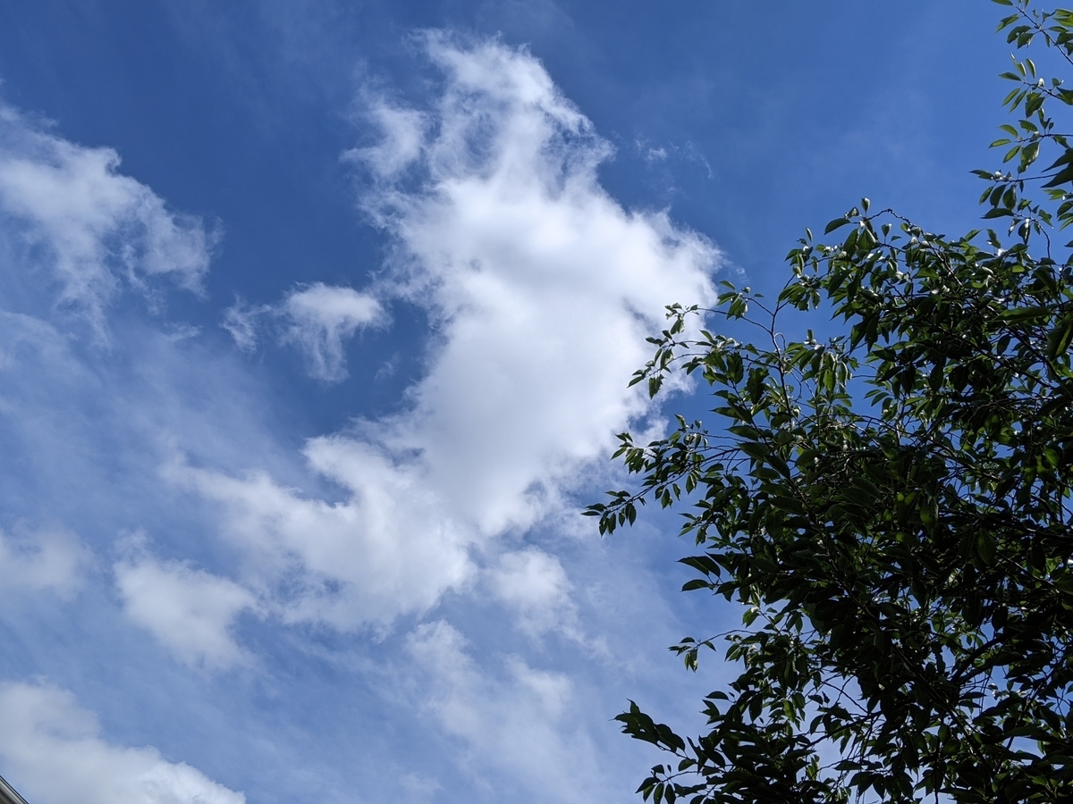 f:id:snowrumirumi:20210720182342j:plain