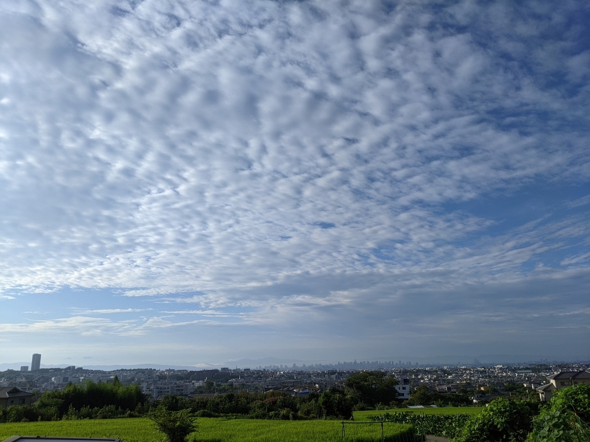 f:id:snowrumirumi:20210914183905j:plain