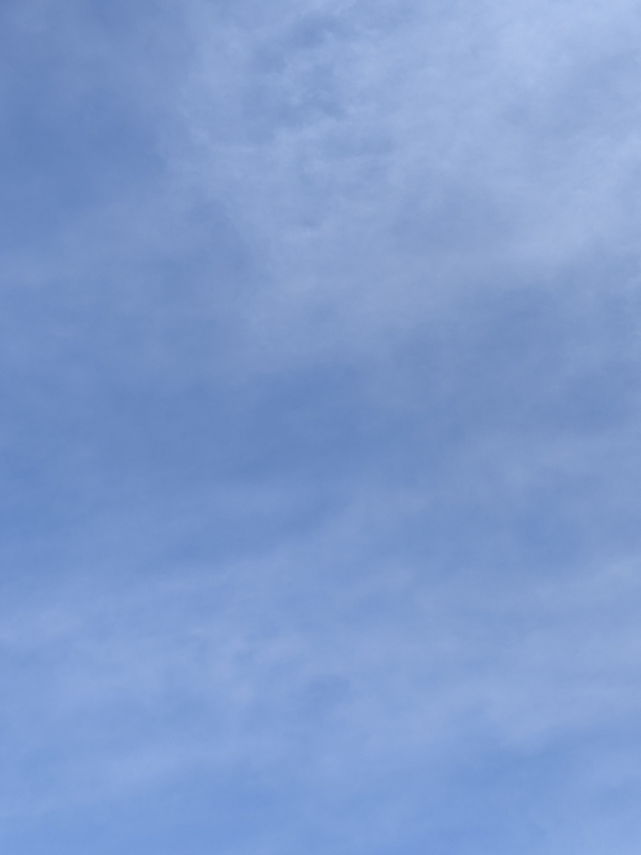 f:id:snowrumirumi:20211027135451j:plain