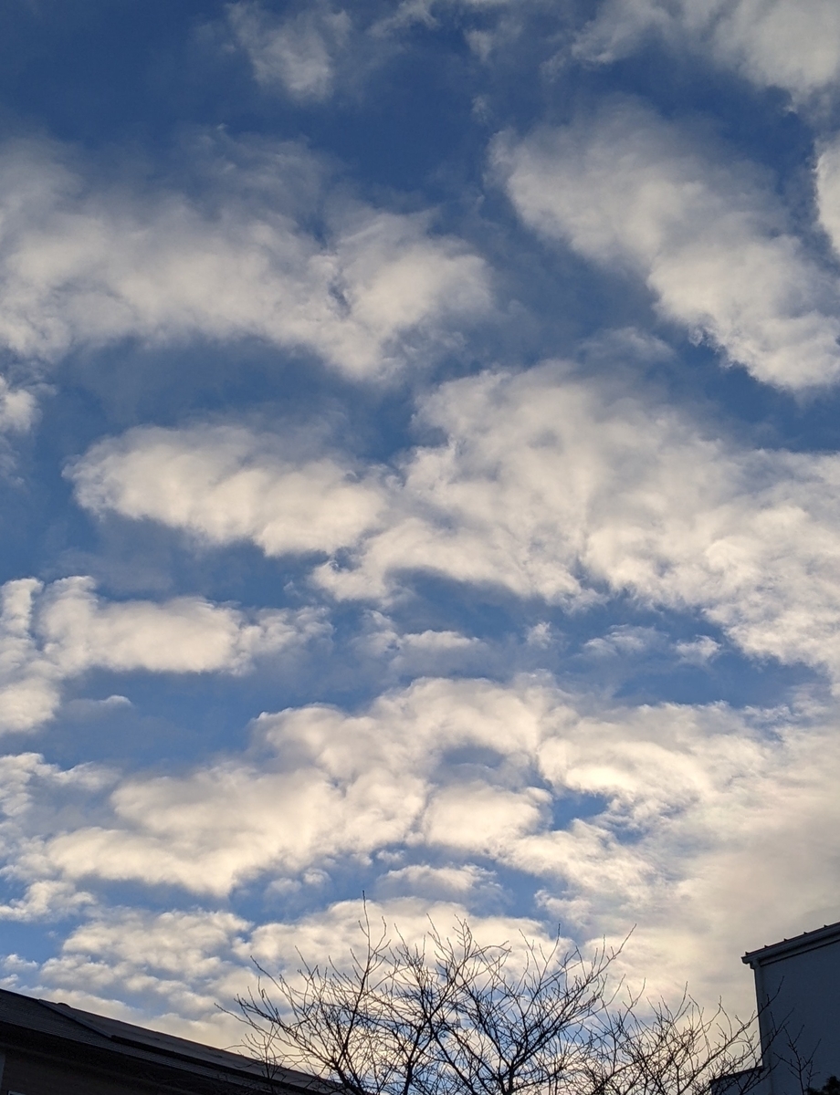 f:id:snowrumirumi:20220131141738j:plain