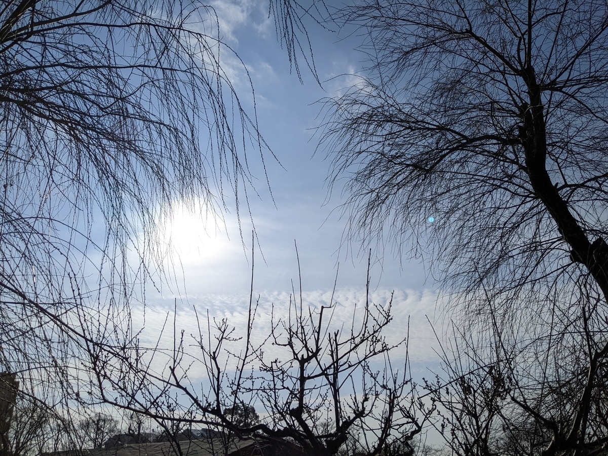 f:id:snowrumirumi:20220202182257j:plain