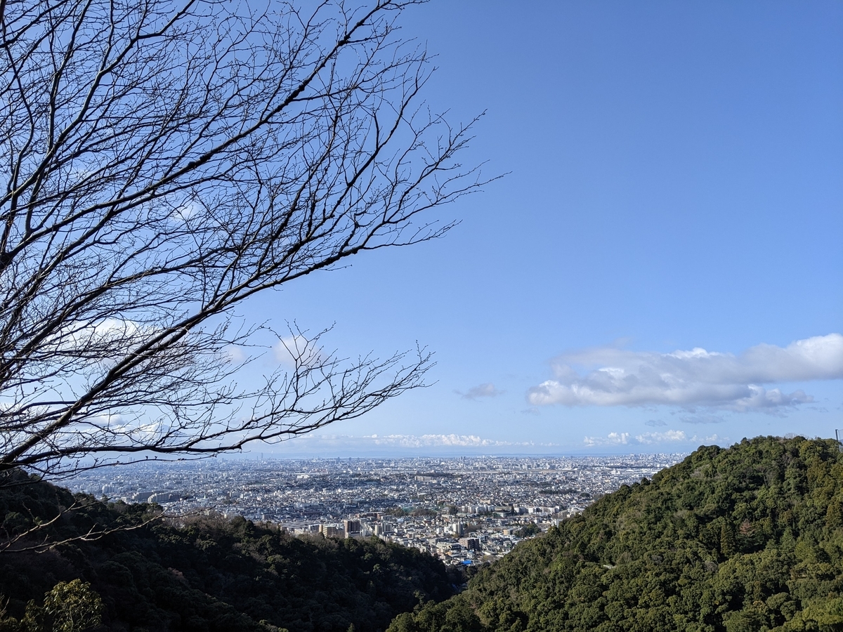 f:id:snowrumirumi:20220320101702j:plain