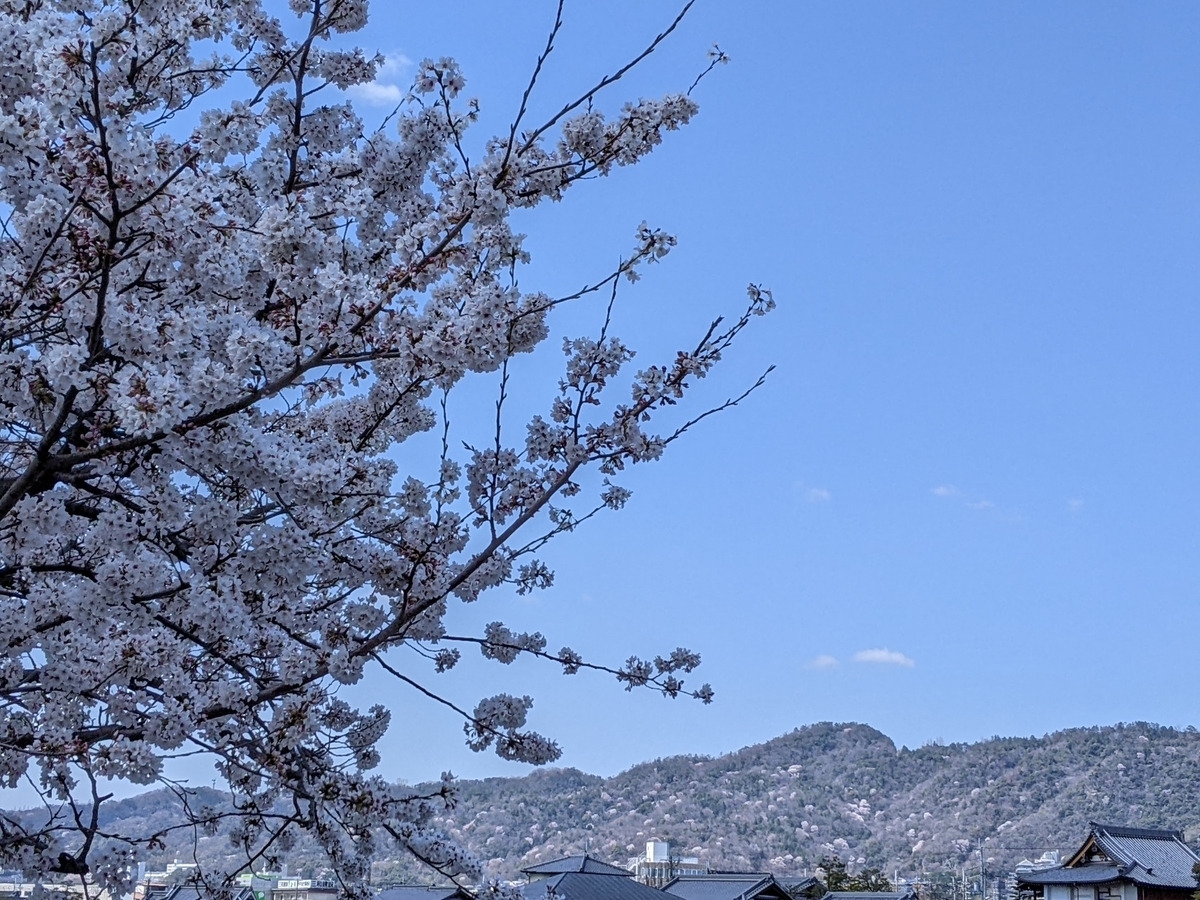 f:id:snowrumirumi:20220404162200j:plain