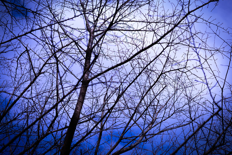 f:id:snowtime:20210312095550j:plain