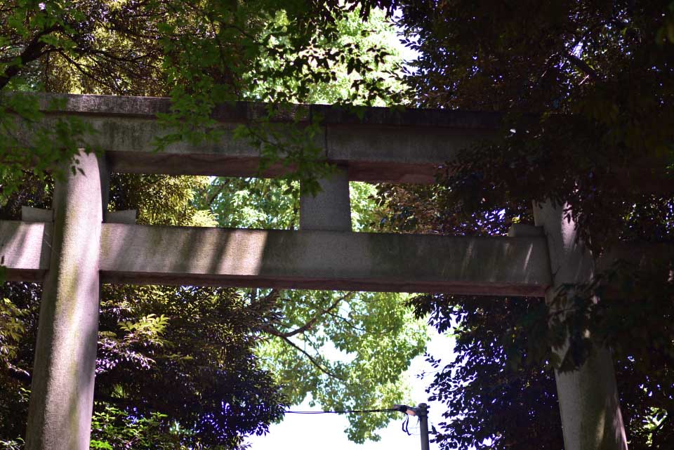 f:id:snowvalley:20210807110920j:plain