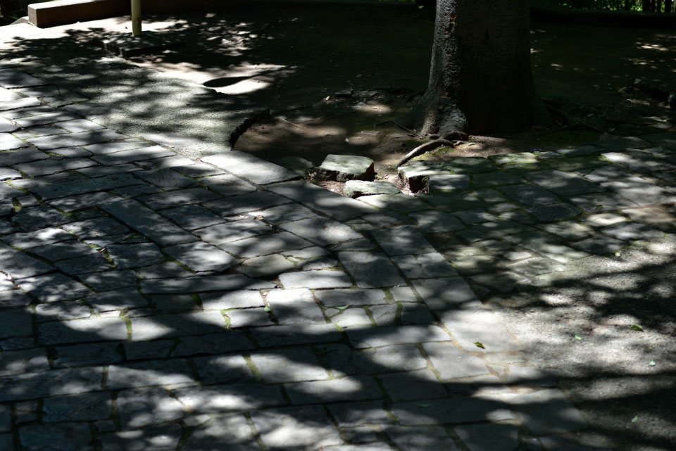 f:id:snowvalley:20210807142335j:plain