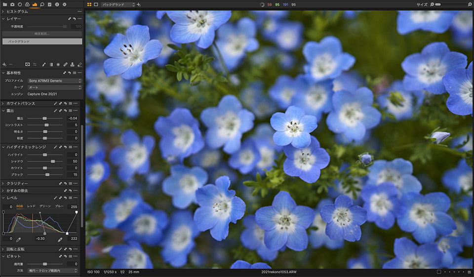 f:id:snowvalley:20210808185636j:plain