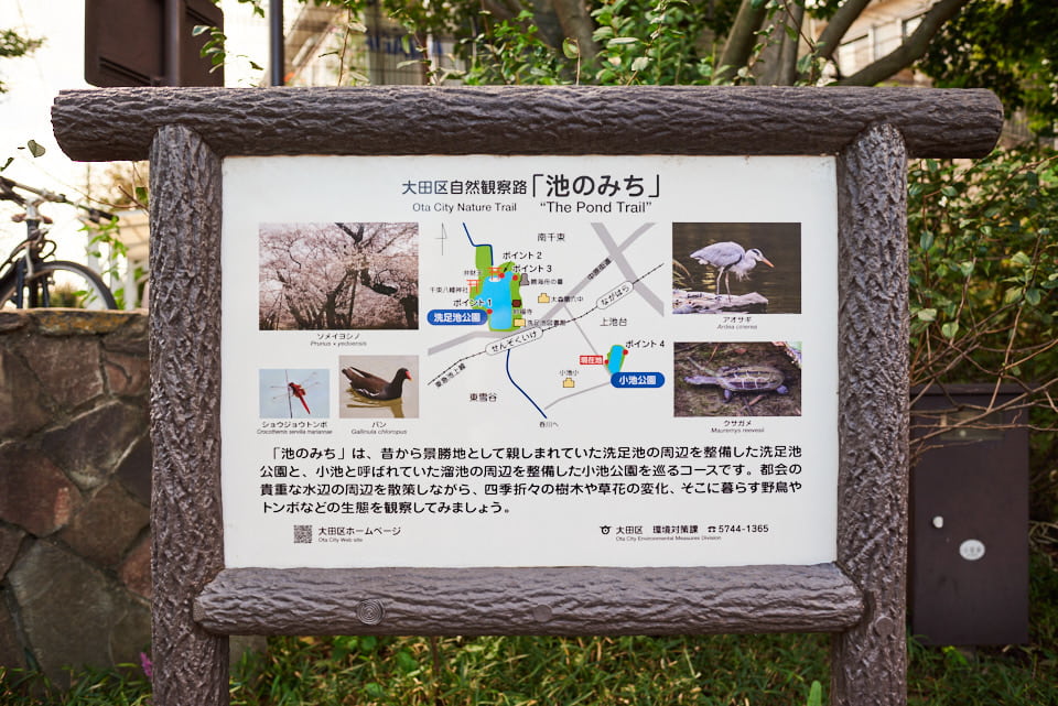f:id:snowvalley:20210930155921j:plain