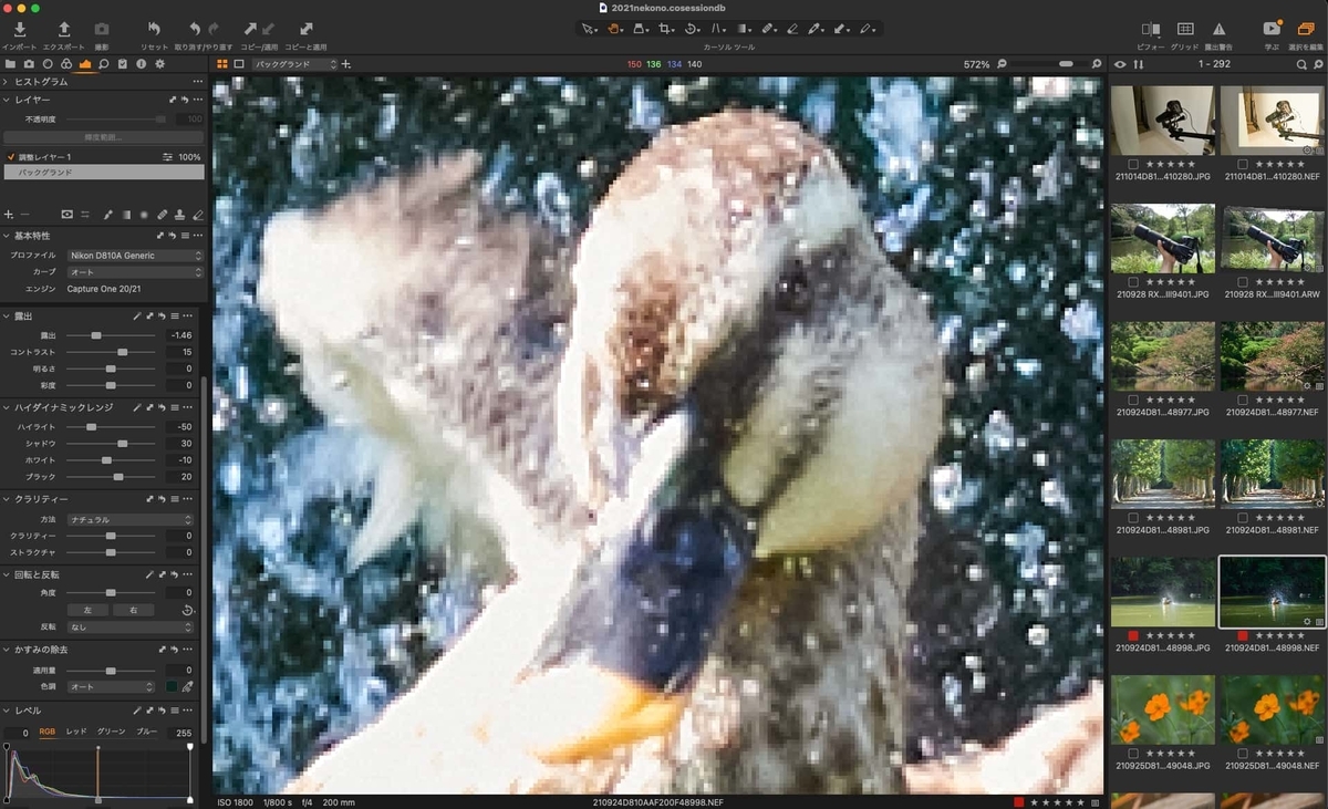 秀逸なマイナーレンズ、AI AF Micro-Nikkor 200mm f/4D IF-ED。ニコン