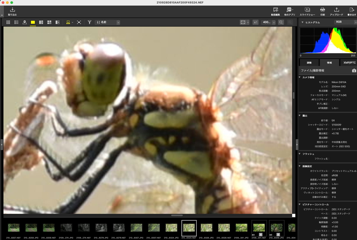 秀逸なマイナーレンズ、AI AF Micro-Nikkor 200mm f/4D IF-ED 秀逸なマイナーレンズ、AI AF Micro-Nikkor 200mm f/4D IF-ED
