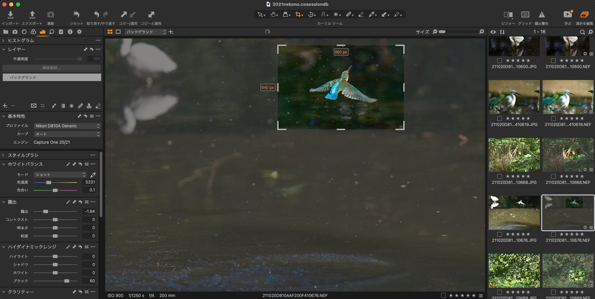 f:id:snowvalley:20211023201428j:plain