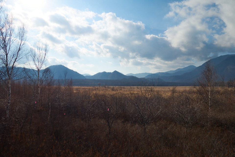 f:id:snowvalley:20211206182759j:plain