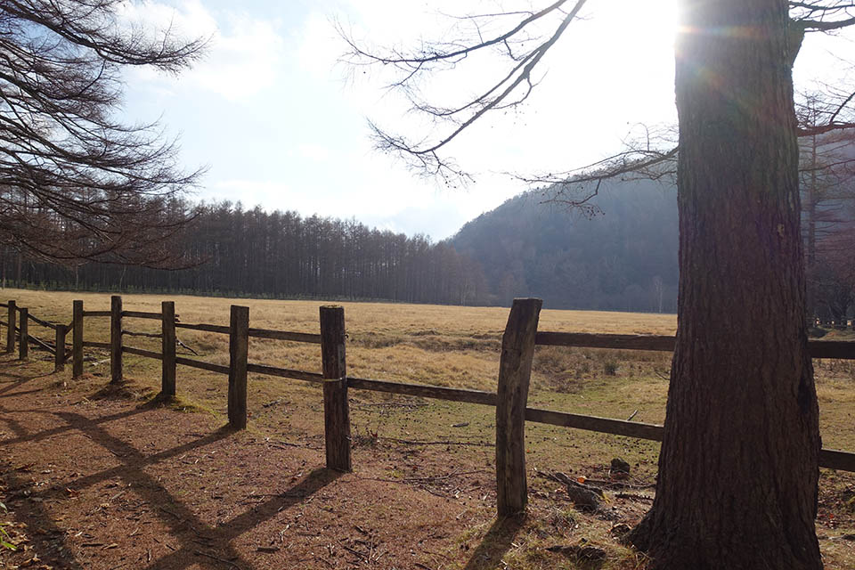 f:id:snowvalley:20211206183659j:plain