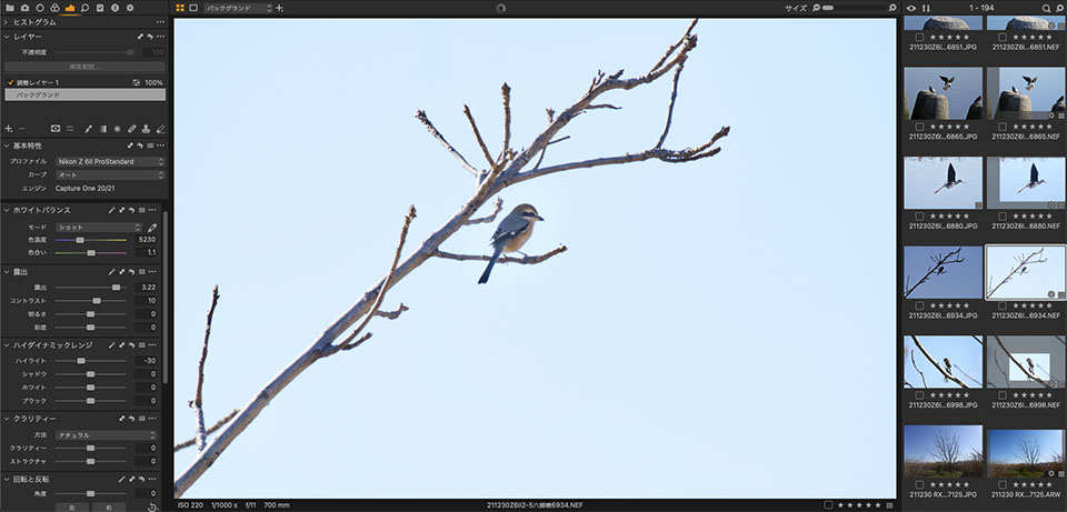 f:id:snowvalley:20211231192756j:plain
