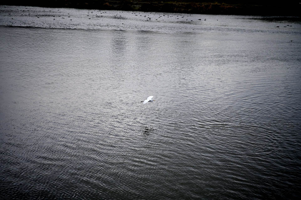 f:id:snowvalley:20220103190136j:plain