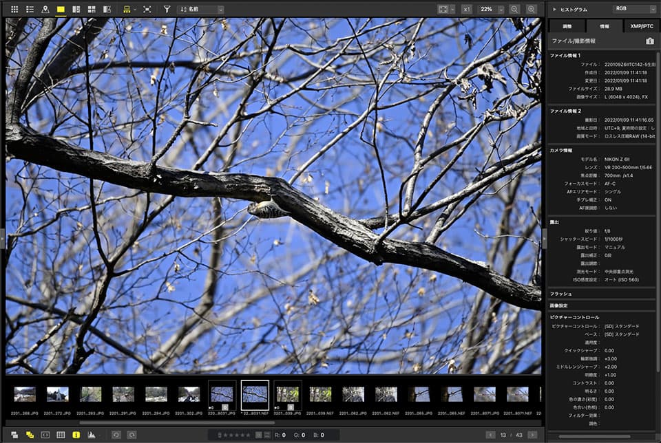 f:id:snowvalley:20220110114339j:plain