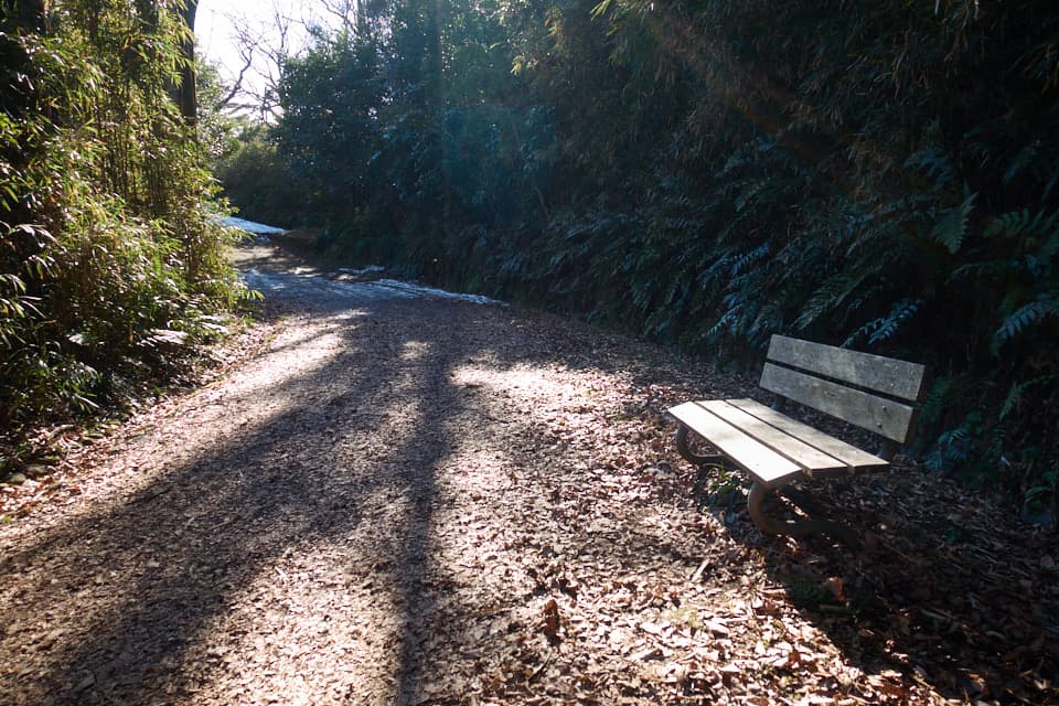 f:id:snowvalley:20220110115246j:plain