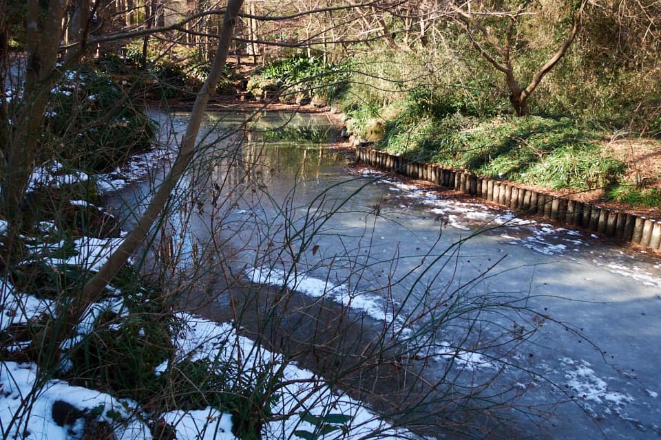 f:id:snowvalley:20220110115420j:plain
