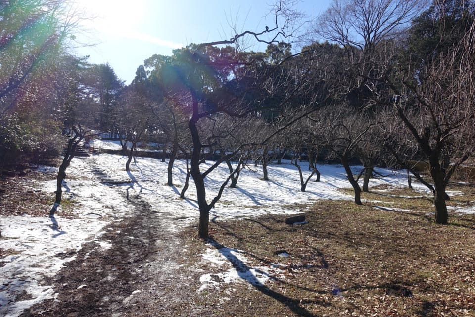 f:id:snowvalley:20220110115510j:plain