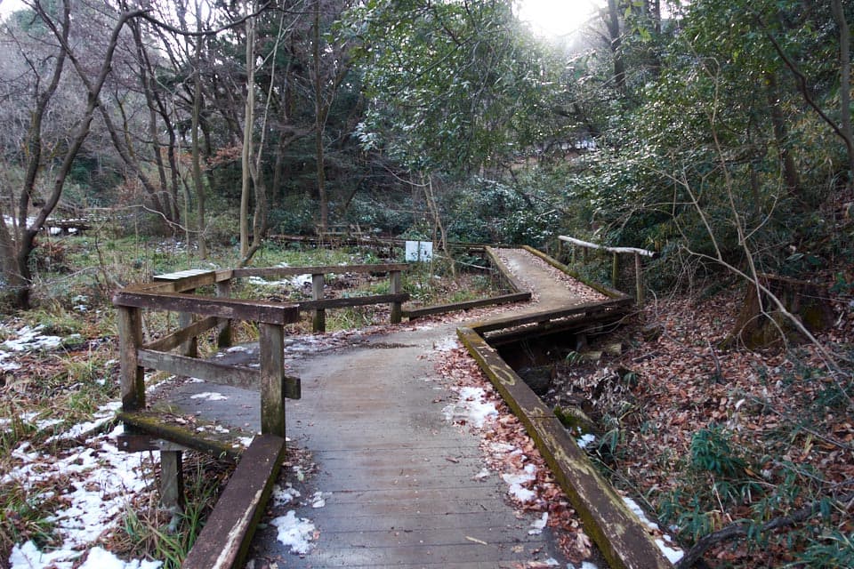 f:id:snowvalley:20220110121625j:plain