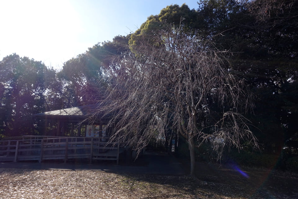 f:id:snowvalley:20220121063433j:plain