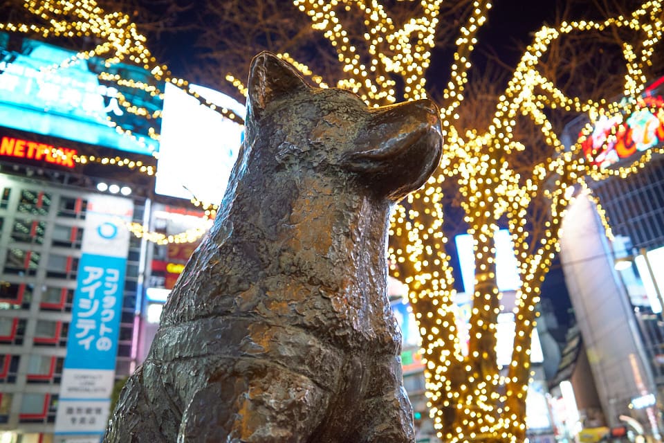 f:id:snowvalley:20220121225201j:plain